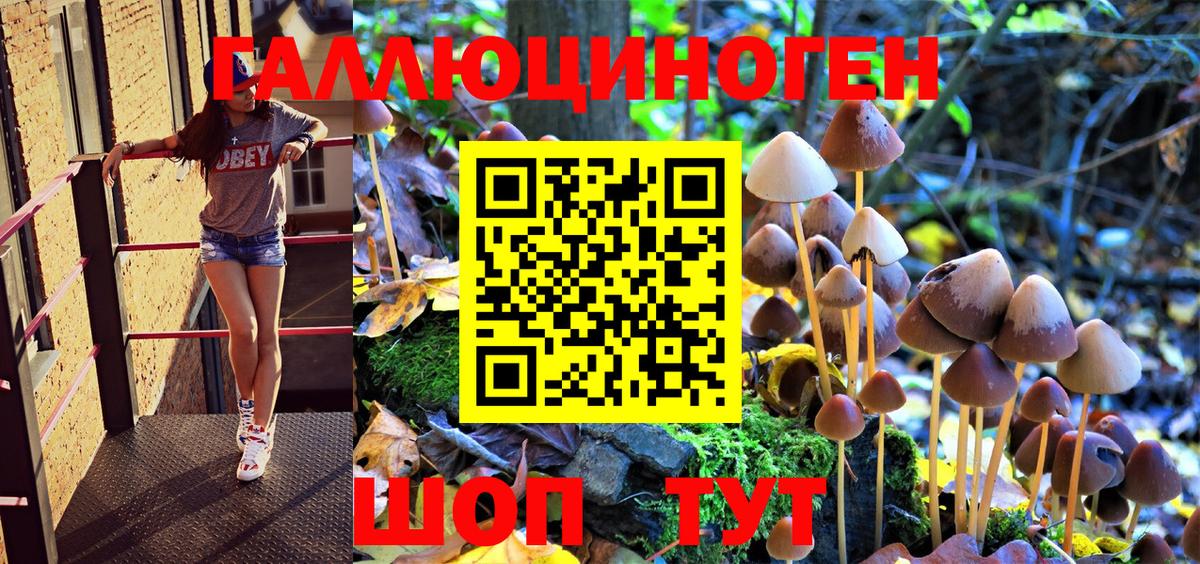 Галлюциногенные грибы GOLDEN TEACHER  Вход с VPN  Троицк 
