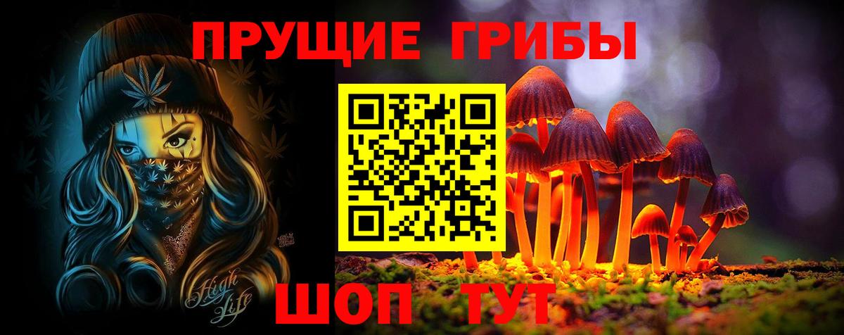 Псилоцибиновые грибы Cubensis Троицк